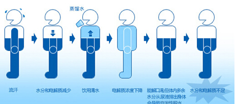 水與人體健康小知識 你的身體缺水嗎？